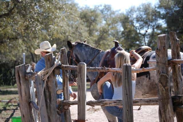 Saddle Up Texas