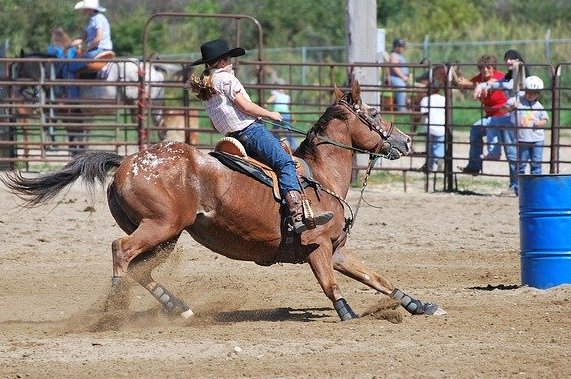 teaching Barrel Racing Camp